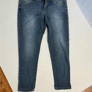 Democracy Dark Blue Skinny Jeans